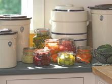 fermentation kit.jpg